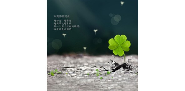 心態(tài)，決定你人生（每天必讀）